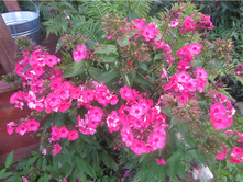 ����� ��������� � �����.