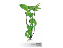 ������ �������