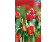 ����� ����������� ����� - M-8-17