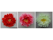 ������� "����" 17 ��., �������, �����, ������� 24,8�