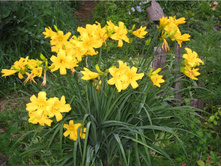 �������� ������ ������