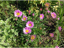 ����� ���������� �������