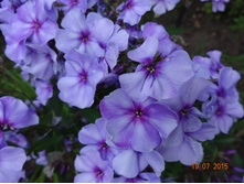 DSC01796.JPG