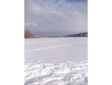 IMG 20170121 133428.jpg