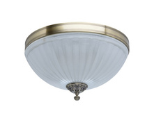 317013805 8500�.jpg