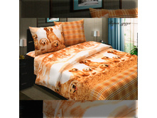 ������ ������ - 880 ���