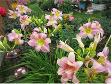 �������� ������ ����