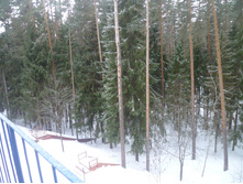 ����� (��� � �������)