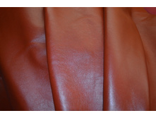 ����-���������� �������.JPG