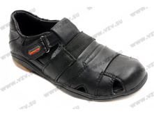 ����� ��������� (28-35)