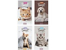 ������� �6 48�. �� ������� �������. Pretty sweet 8,6.jpg