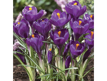 ������ ������ ������ ���������� 80�