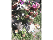 �������� 23-01-2017 171517.png