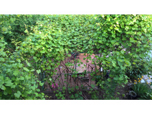 WP 20160605 18 11 08 Pro.jpg