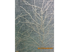 ��� ����� 1.jpg