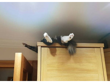 ������ ���. ��� ���� ����� �� ��������