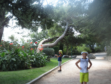 IMG 3480.JPG