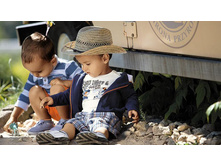 ���� ���������