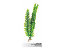 ����������� �������