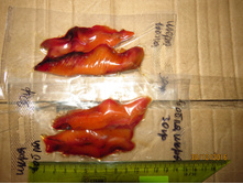 �� ���� 2 ��������.