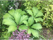 ��������� �������