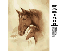 RSB1300 24-1126 副本0002-500x500.png