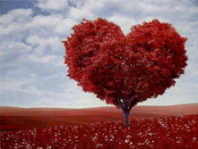 ������������� - 38 �� 27 �� - 891 ���.+%