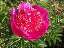 ���� ����