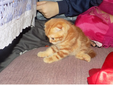 ������ �� 2017 047.jpg