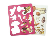 �������� ����� 21,78.jpg