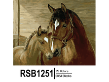 RSB1251 25-2854 副本0002-500x500.png