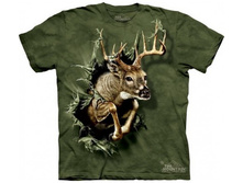 3� �������� � ������ L.jpg