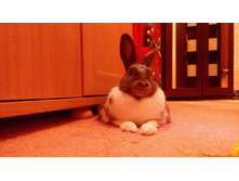 IMG 20160527 210944.jpg