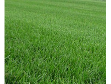 ���������� �������������-������ 100 � ���. ��.�14 ��� 00057937 30,16 ���..jpg