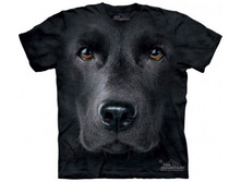 3� �������� ����� ��������� XXL.jpg