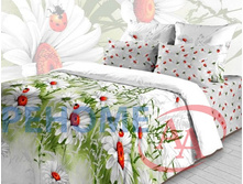 3753-1 ��� ����� ������� ���� ��������