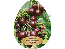 ����� ������ � �������.jpg