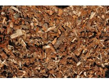 ���� ����� (1-3��) 60 �-190�