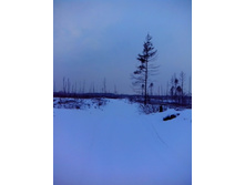 IMG 20170105 113022.jpg