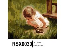 RSX0030 28-1548-228x228.png