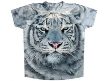 ������������ �������� ����� ���� KP 117 3XS, 2XS, XS, Skids.jpg