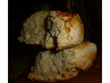 ���� �������