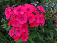 DSC01795.JPG