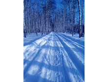 IMG 20170129 134618.jpg