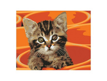 ��������� �� �������.JPG