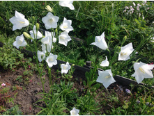 �����. �������������� �����