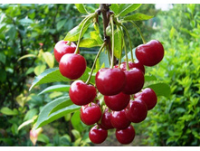 ������� �������� � �������.jpg