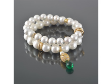 5395_�������_2520 ���