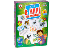 ���� ���������� - ���� � ���� �������� 239,73.jpg