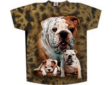 ������� �������� ������� TD 211 S M L XL.jpg